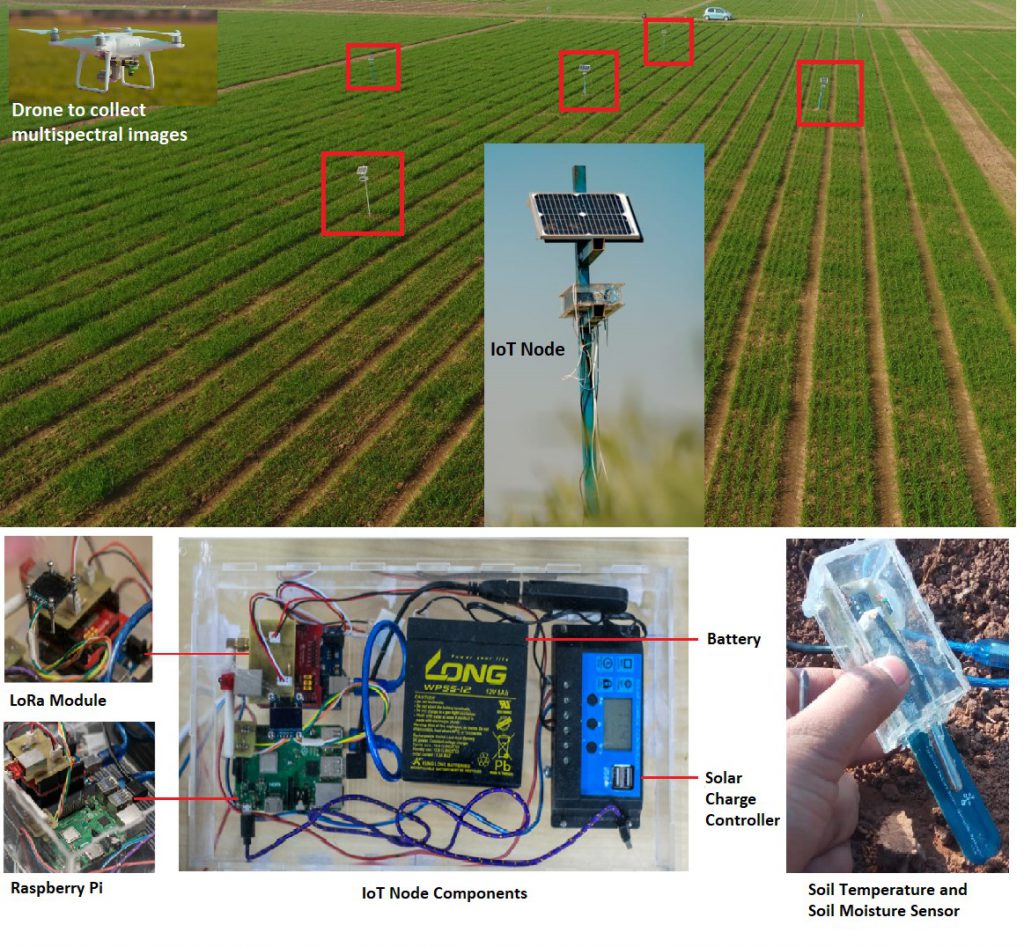Figure 1: IoT Agri Nodes deployed across the wheat field