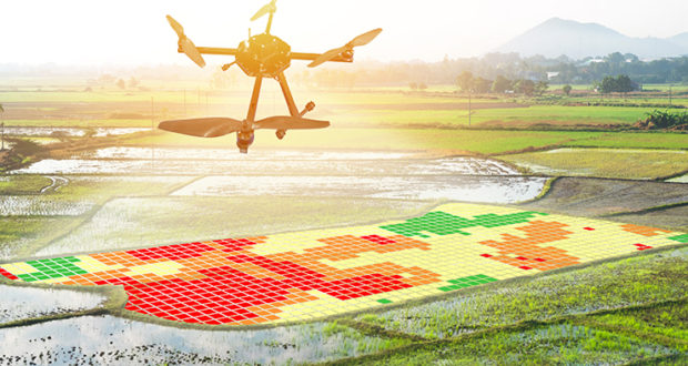 The integration of Internet of Things (IoT), Drone-based Remote Sensing, and Machine Learning Technologies for Enhanced Crop Health Monitoring 6