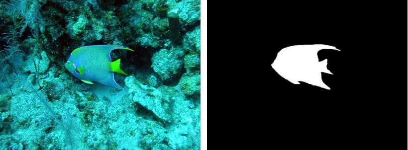 Figure 2. (a) Underwater Image (b) Alpha Matte