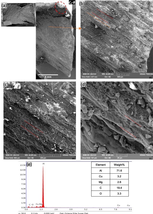 Fig. 7. Lower fractured surface containing clear beach marks (a) the inset shows an overall image of the fractured surface, whereas the image on the right shows the clear beach mark zone as well the junction of C1/C2 which is encircled with a red dash line, (b, c, d) higher magnification images of the fractured surface showing beach marks which were observed to be consisting of finely divided lines and marked with dashed (red) line(e) a representative EDX spectrum in the red encircled region of (a)