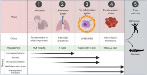 Figure 1: Different stages, clinical progression, management and possible therapies of COVID-19. [1]