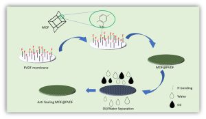 Figure 1: Schematic representation of modification of PVDF membrane and oil-water separation application