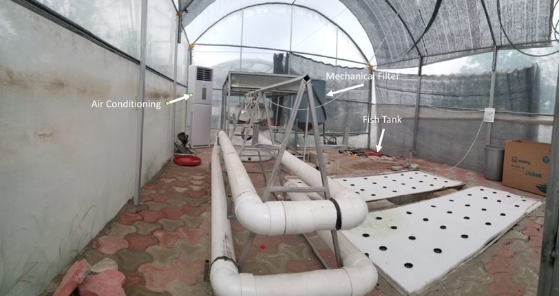 Figure 9. 400 sq. feet Aquaponics Outdoor Greenhouse Shed at NUST H-12 Campus - Internal View 02