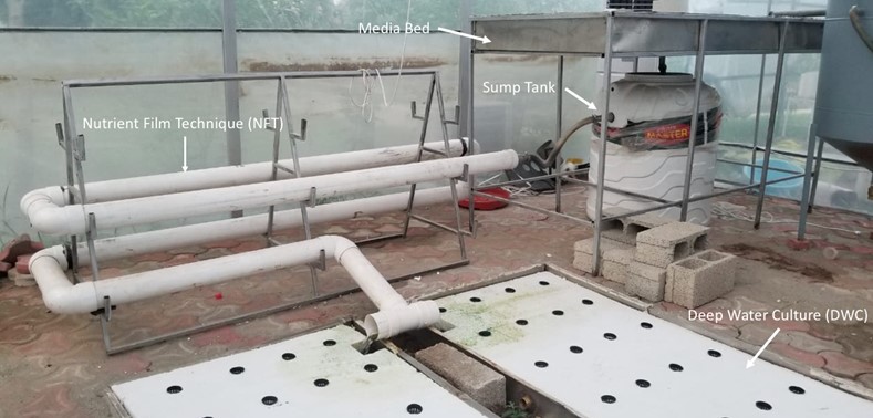 Figure 8. 400 sq. feet Aquaponics Outdoor Greenhouse Shed at NUST H-12 Campus - Internal View 01