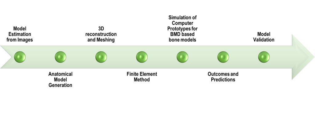 Figure 3. Framework of biomechanical modeling of Covid bones