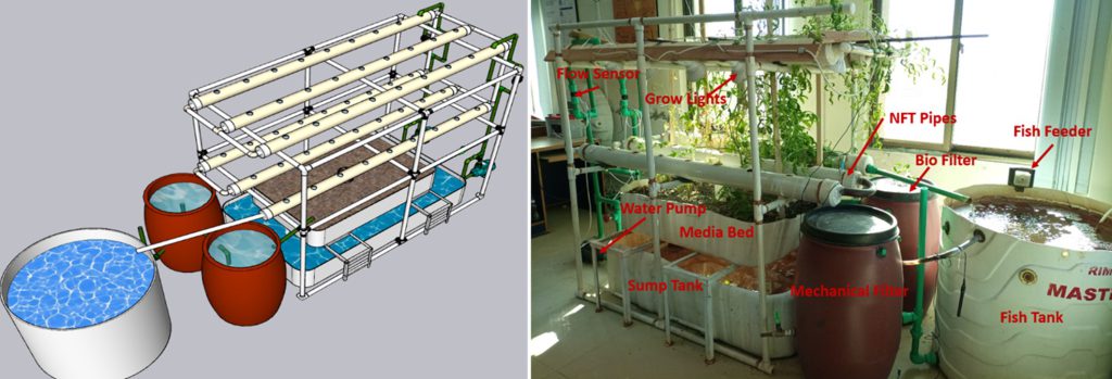 Figure 5. Lab prototype of Aquaponics System (left: Simulation Model, right: Hardware Realization)