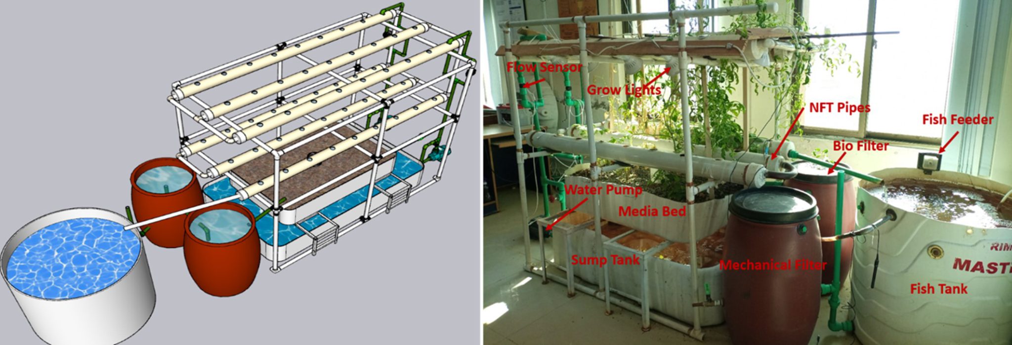 NUST Researcher Developed Aquaponics: A Machine Learning based Organic ...