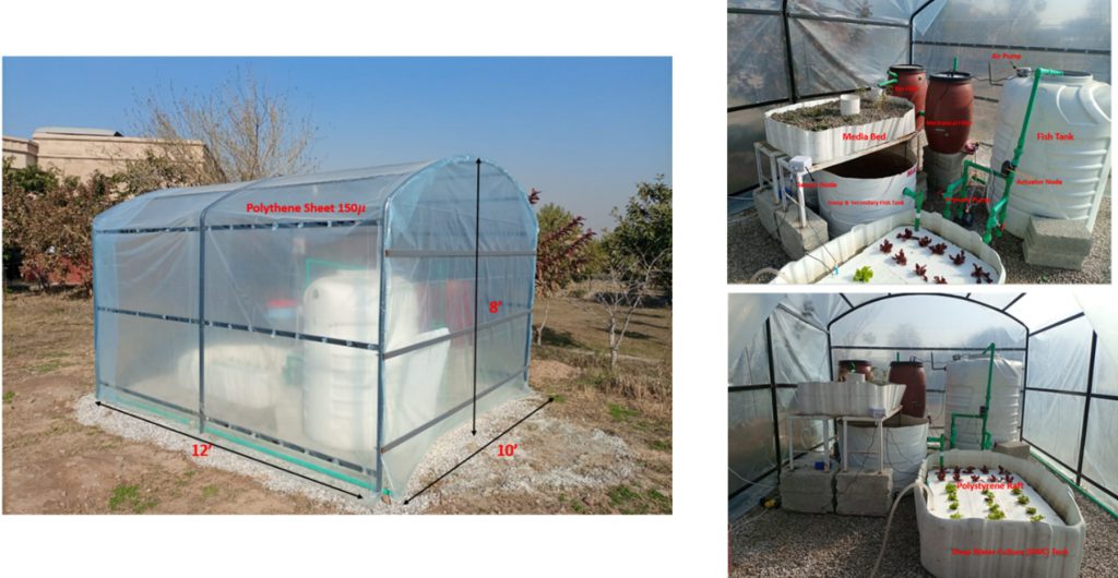 Figure 6. 120 sq. ft Aquaponics farm at NUST H-12 Campus