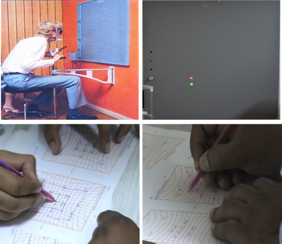 Figure 1: Manual Hess Screen Testing