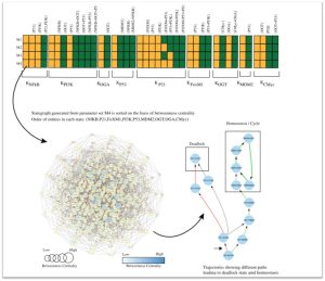 Figure 7. Supercomputing facility is being used by modelling and simulation of large biological regulatory networks