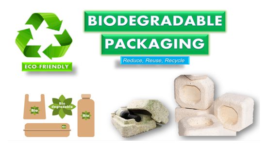 Biodegradable Packaging: An environmental friendly alternative to conventional petroleum-derived packing material