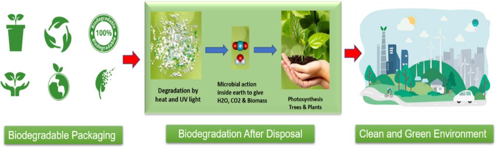 Figure 2: Stages of biodegradation process of biodegradable packaging material