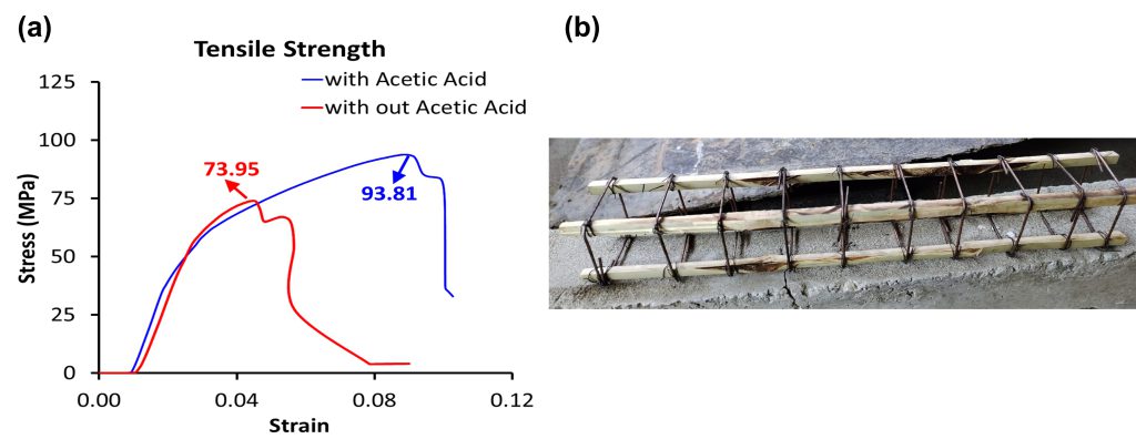 Figure 3: (a) Comparison of tensile strength of bamboo samples treated with and without acetic acid, (b) Bamboo in bean reinforcement (work in progress)
