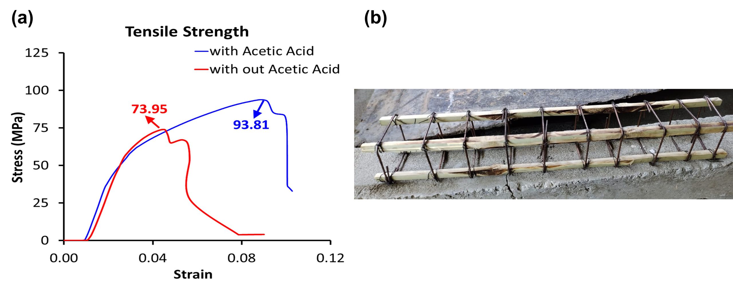 Figure 3: (a) Comparison of tensile strength of bamboo samples treated with and without acetic acid, (b) Bamboo in bean reinforcement (work in progress)
