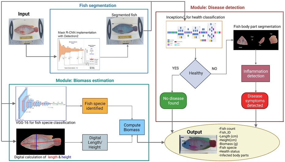 Figure 1: Our proposed methodology is an innovative pipeline that integrates a variety of machine learning and deep learning algorithms. Broadly, the diagram can be categorized into three main modules: fish segmentation, which acts as a shared component for the other two modules, namely biomass estimation and disease detection. Ultimately, the outputs from all modules come together to form a single application