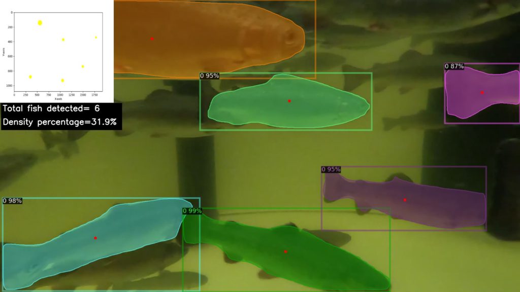 Figure 3: Fish Behaviour Analysis : Density Estimation