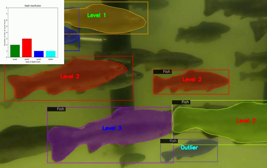 Figure 6: Fish count at different swimming levels