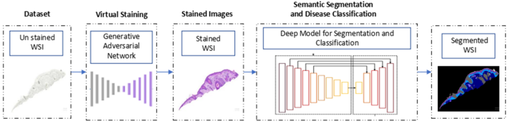 Figure 3: Overview of the proposed Dermavision application