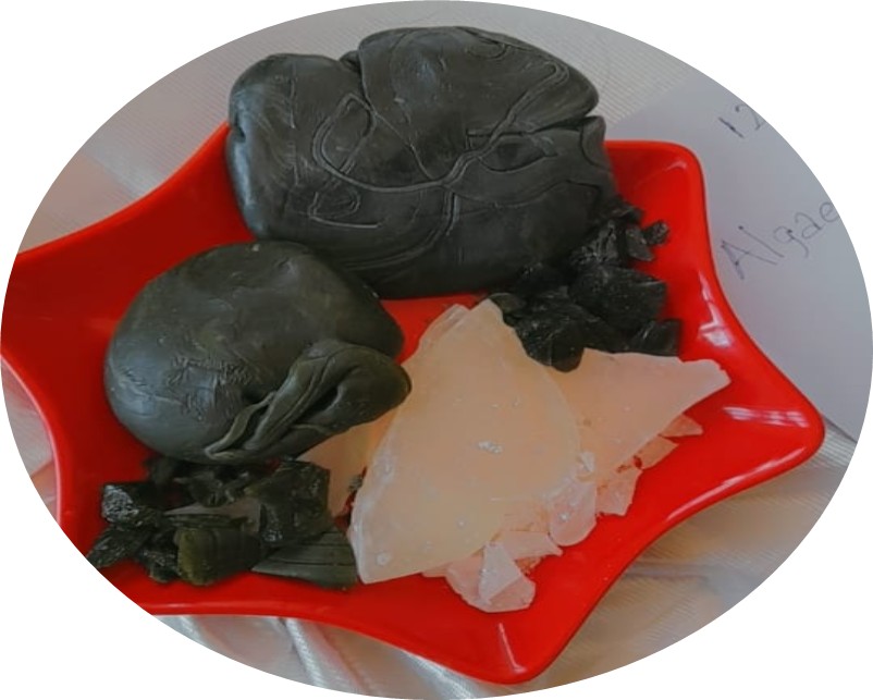 Figure 1: Hard candies prepared with spirulina and chlorella algae along with control candy containing no flavour and pigment