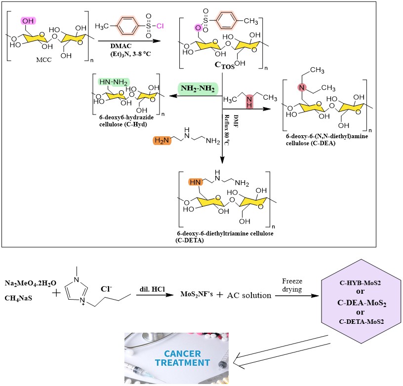 Figure 1: MoS₂-Cellulose Nanocomposites for Cancer Therapy: A Synthesis Scheme