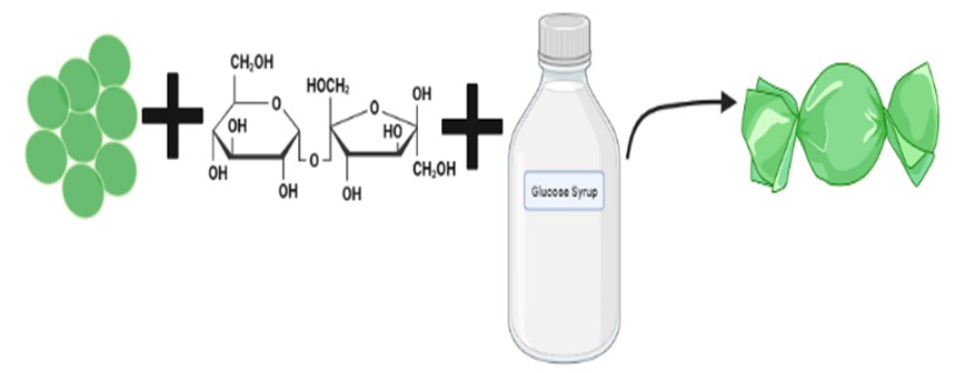 Figure 2: Preparation of hard candies with sucrose, glucose syrup and algae