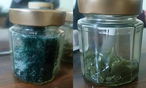 Turning Superfoods into Sweets The Rise of Spirulina and Chlorella Hard Candies