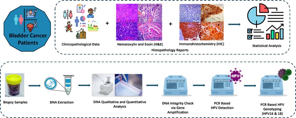 Figure 1: Schematic representation of methodological framework of the study