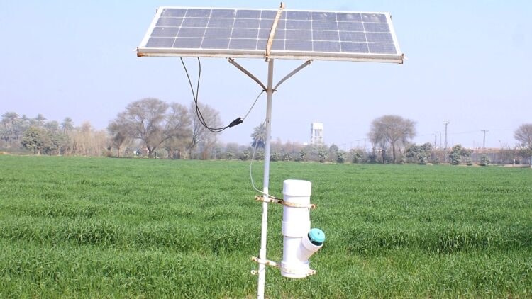 How AI-Powered SMARTRAPS Are Transforming Pest Control in Agricultural Farms