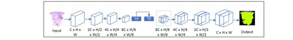 Figure 1: Pruned Segformer Architecture with self-attention, positional embedding, dependency pruning, and query-wise pruning