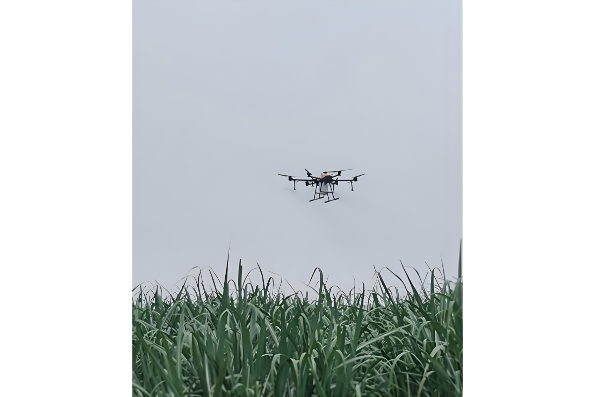 Figure 10: UAV in field trial over sugarcane