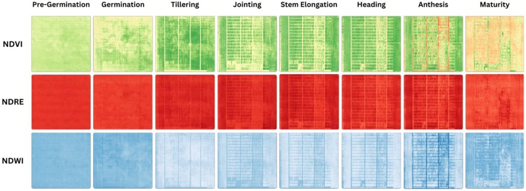 Figure 2: Index maps for all phenological stages of wheat crop