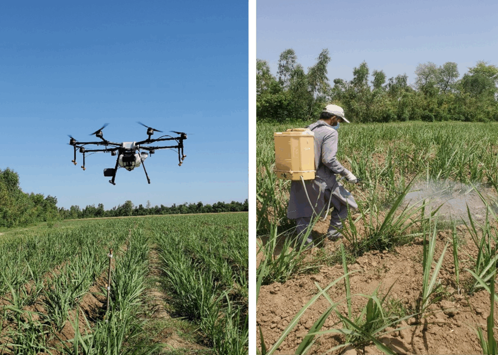 Figure 3: Comparison of traditional vs. smart spraying deposition