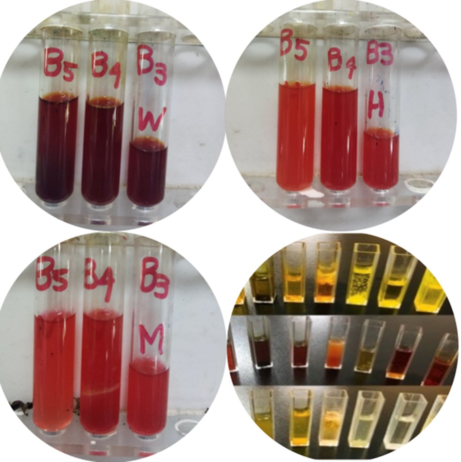 Figure 3: Visual Detection of Alkaloids: Color Shift and Precipitate confirmation
