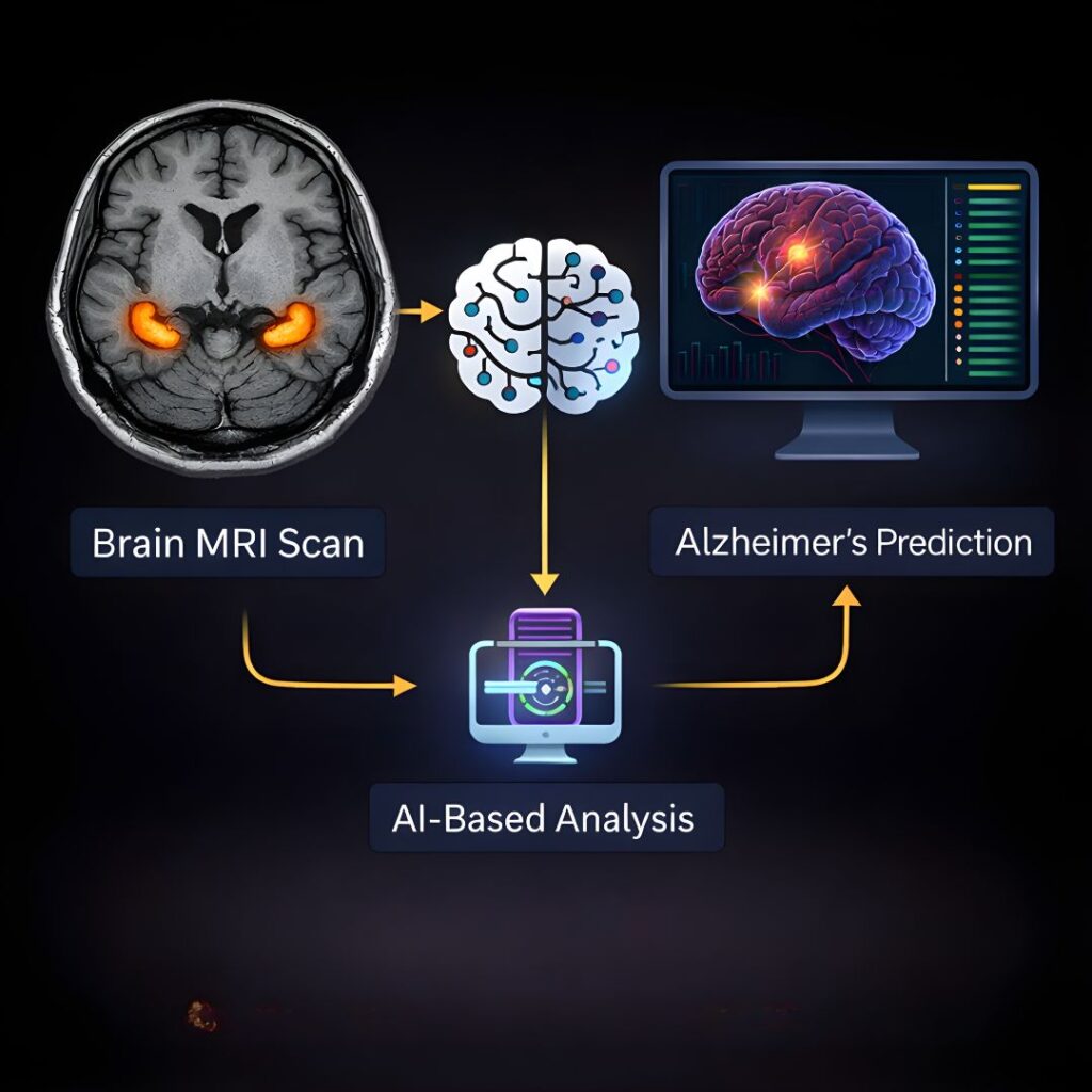 Figure 3: How MRI Scans are Processed Using Al to Predict Alzheimer's Disease